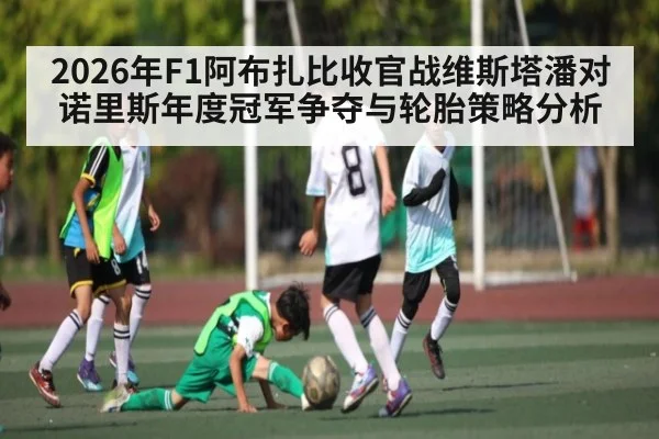 2026年F1阿布扎比收官战维斯塔潘对诺里斯年度冠军争夺与轮胎策略分析